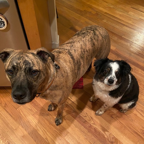 Meet your Posher, Kimberly Ann a one year Veteran Posh Ambassador! 💗🎉 - Picture 8 of 8